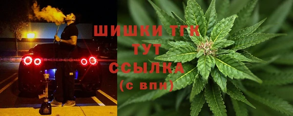 шишки Краснотурьинск