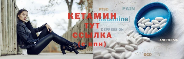 шишки Краснотурьинск