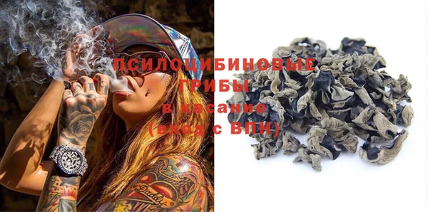 PSILOCYBIN Красноперекопск