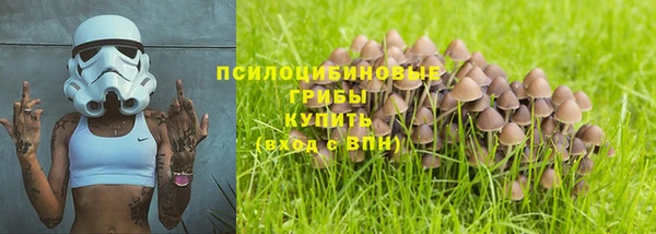 PSILOCYBIN Красноперекопск