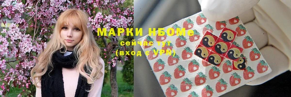 шишки Краснотурьинск