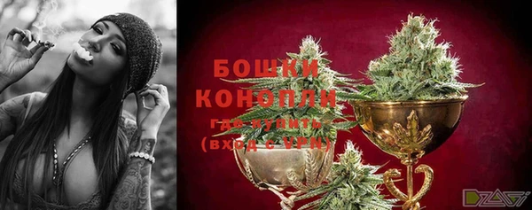 PSILOCYBIN Красноперекопск