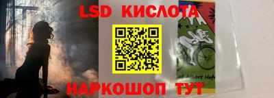 прущие грибы Ирбит