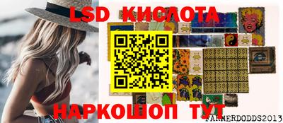 прущие грибы Ирбит