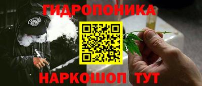 прущие грибы Ирбит